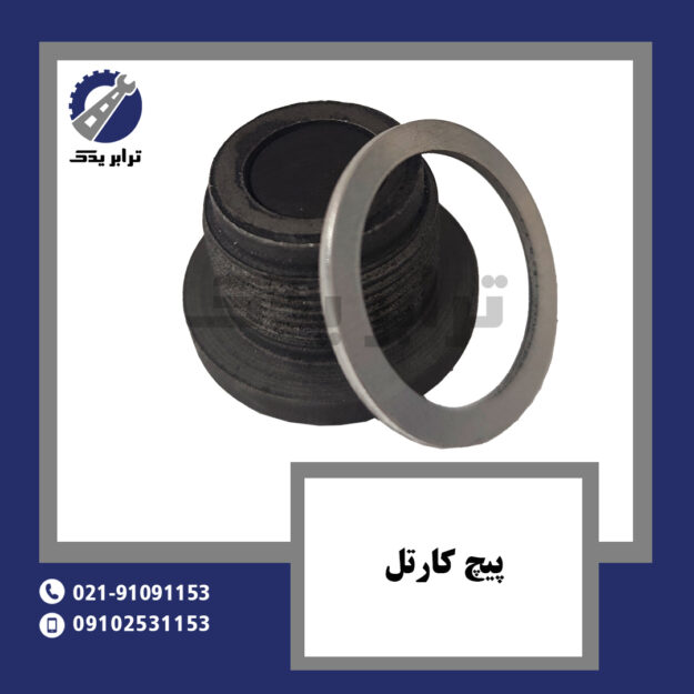 پیچ کارتل